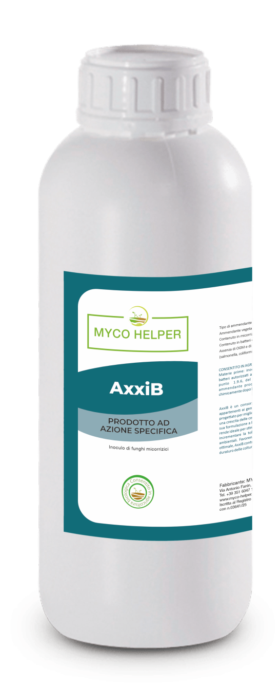 AXXIB